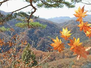 澜沧拉祜族自治县水利局最新新闻